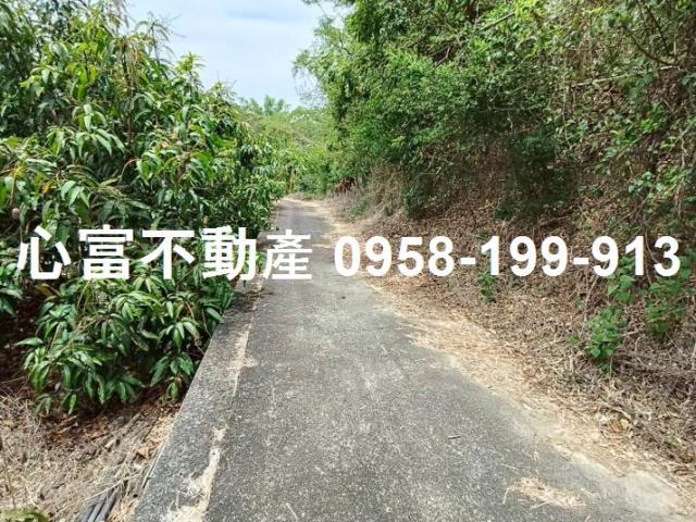 田寮農地-4