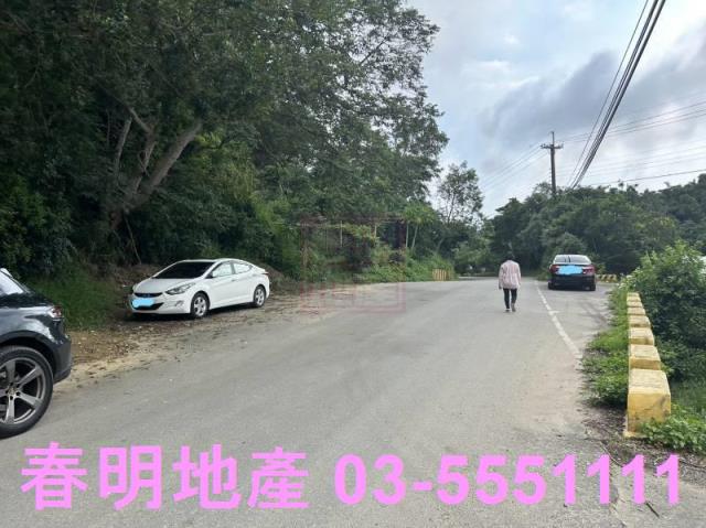 新竹林地-10