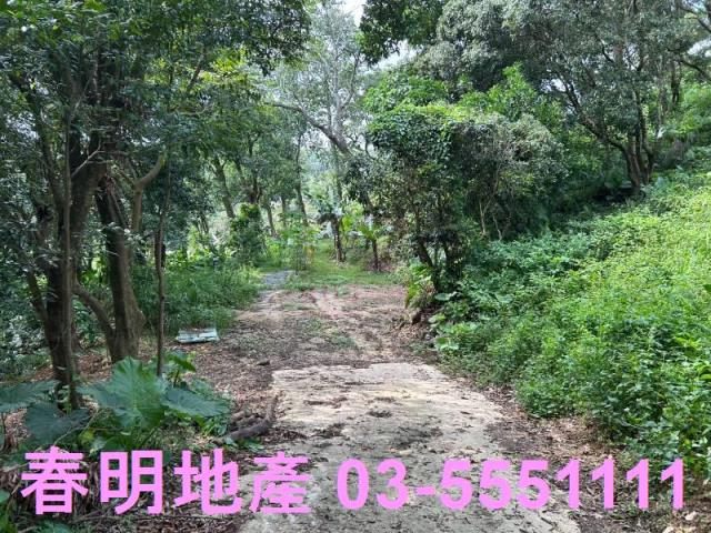 新竹林地-2