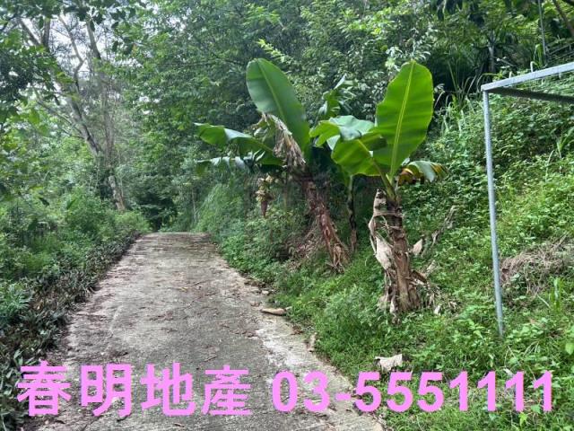 新竹林地-4
