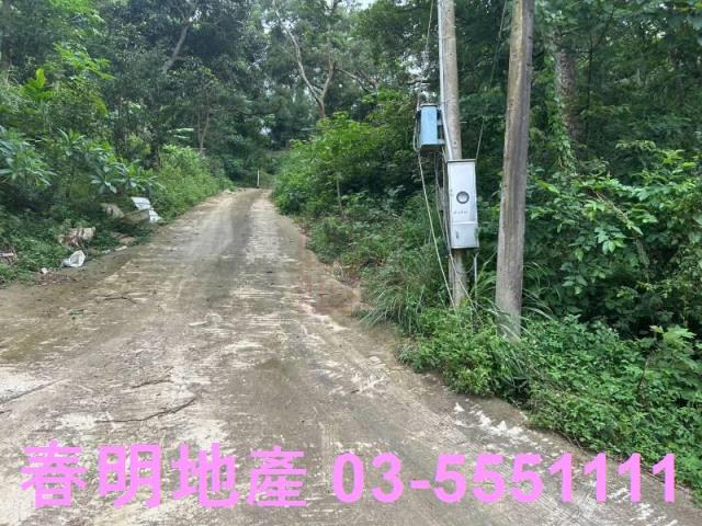 新竹林地-7