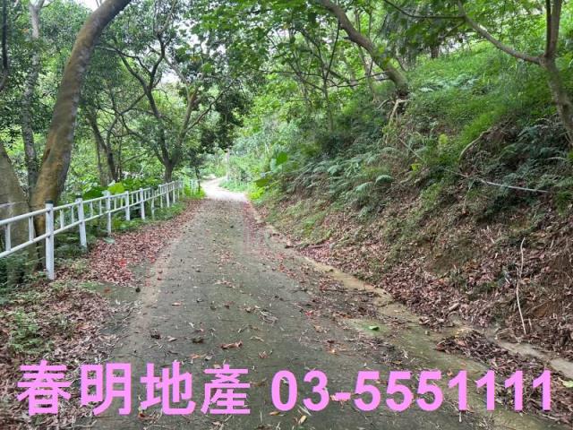新竹林地-8