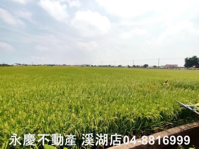 彰化埔鹽農地-8