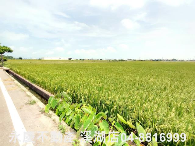 彰化埔鹽農地-9