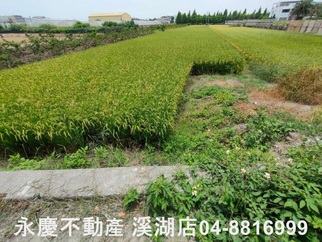 彰化埔心農地-2