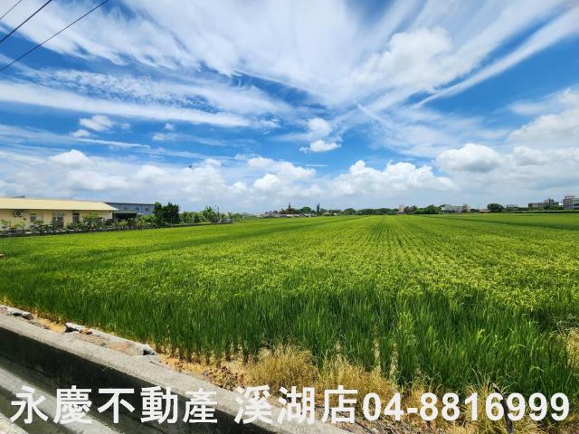 竹塘農地-2