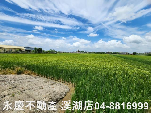 竹塘農地-3
