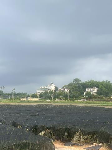 民雄農地-5