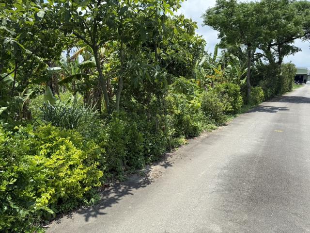 蘆竹農地-1