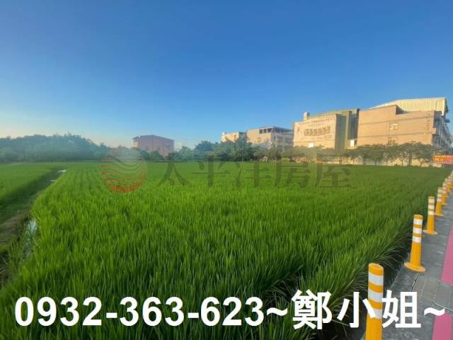 中壢農地-11