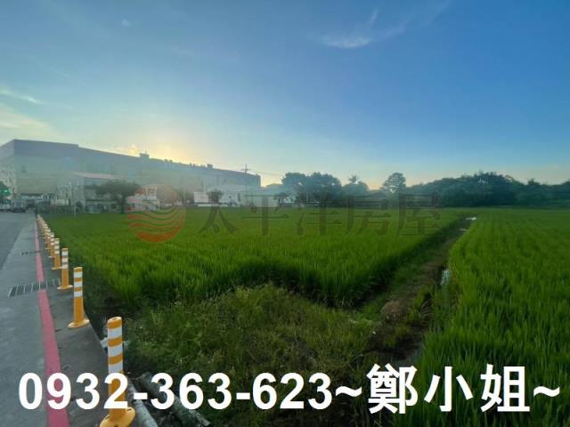 中壢農地-12