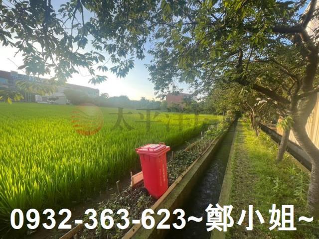 中壢農地-13