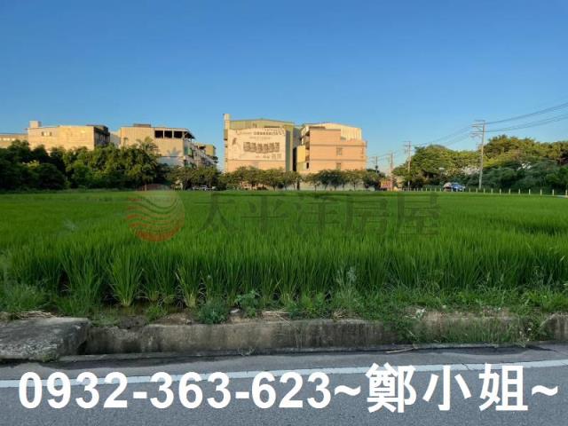 中壢農地-5