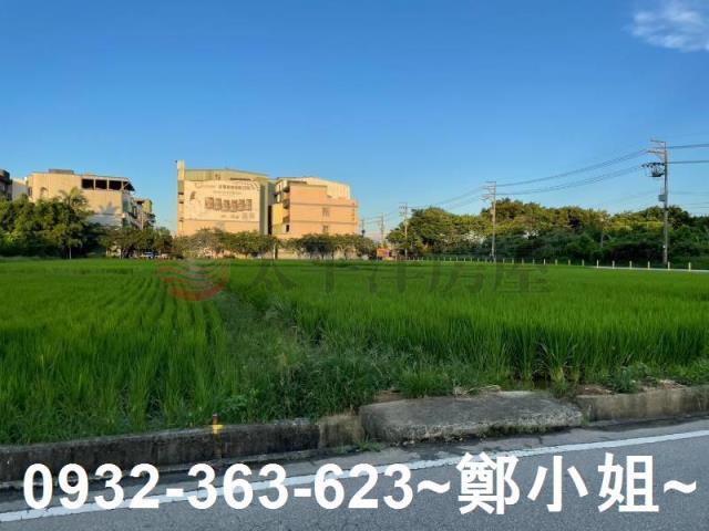 中壢農地-8