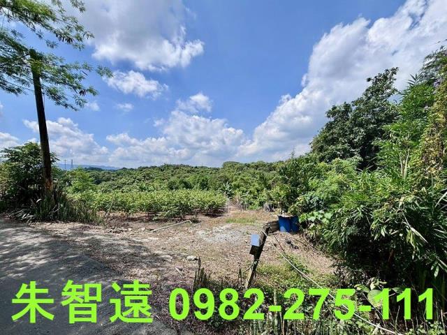 玉井建地-1