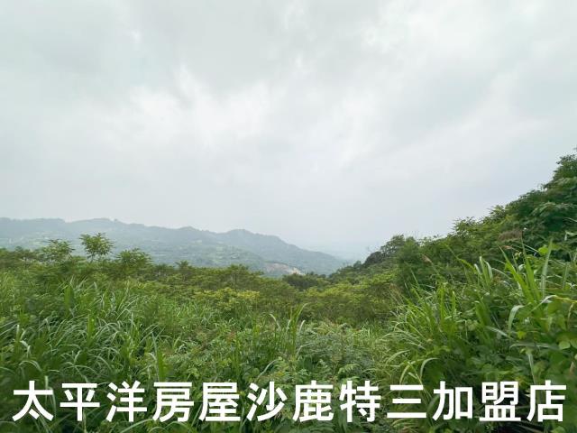 中寮山坡地-1