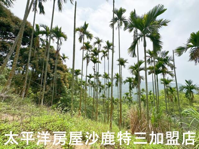 中寮山坡地-4