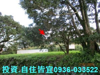 新北三芝山坡地拍賣-3