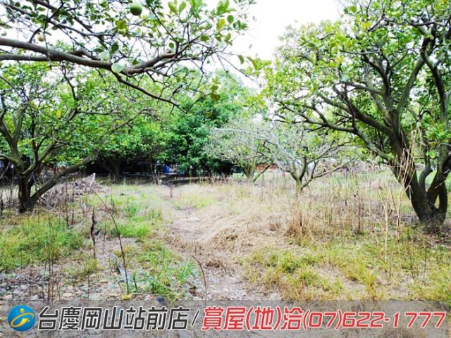 高雄橋頭農地-11