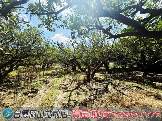 高雄橋頭農地-7