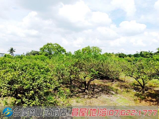 高雄橋頭農地-8