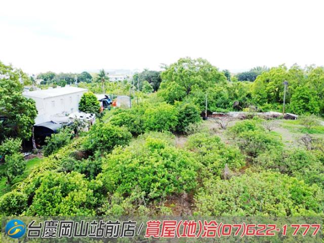 高雄橋頭農地-9