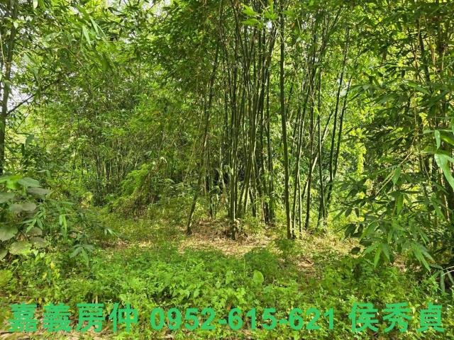 嘉義民雄建地-5