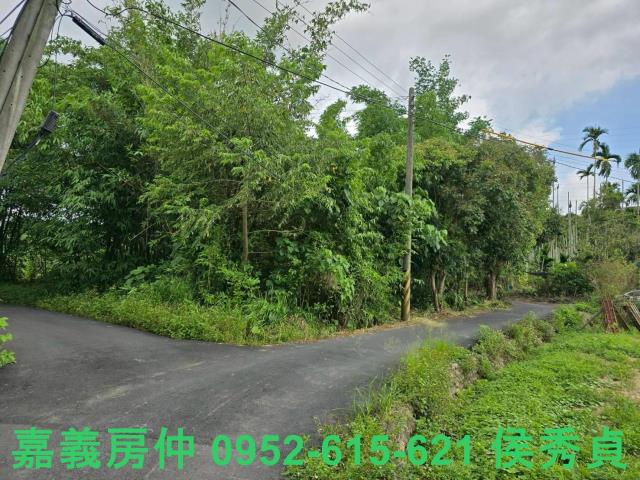 嘉義民雄建地-8