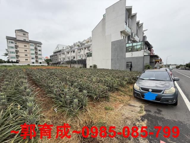 民雄建地-3