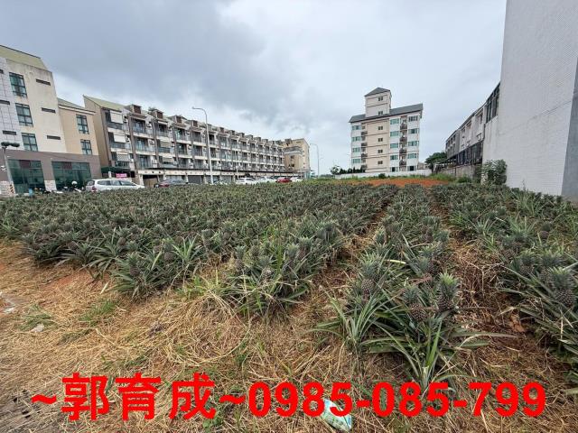 民雄建地-4