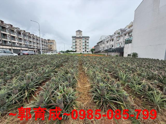 民雄建地-8