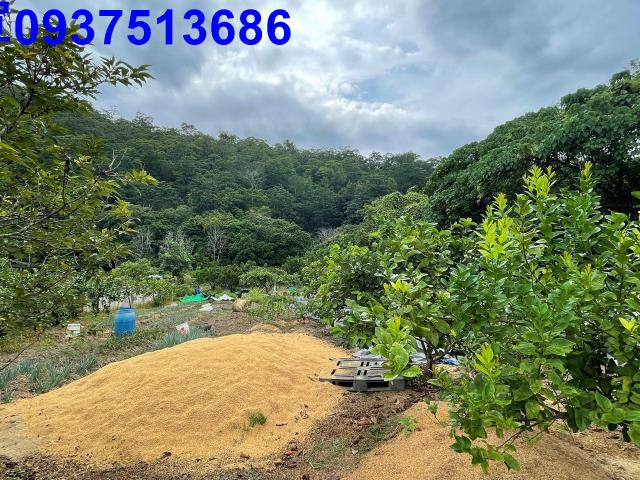 員山農地-7