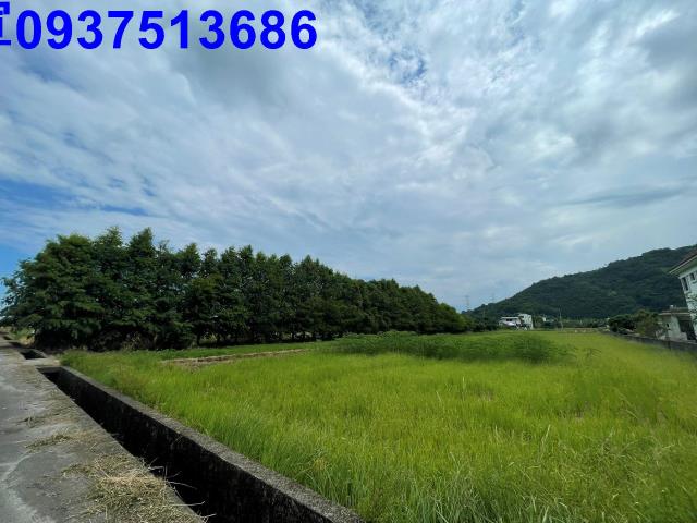 員山農地-8