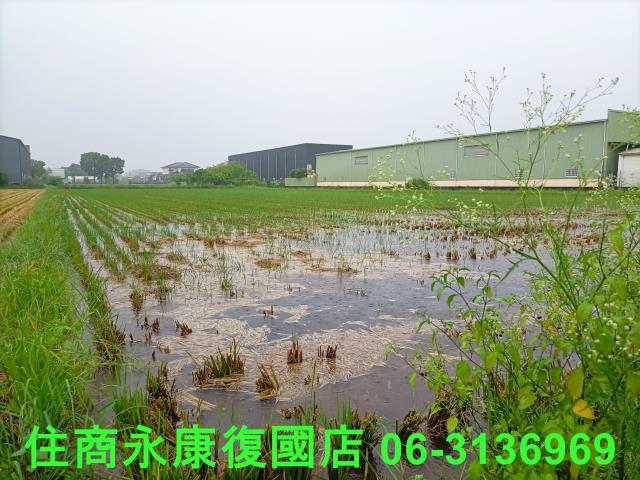 台南農地-10