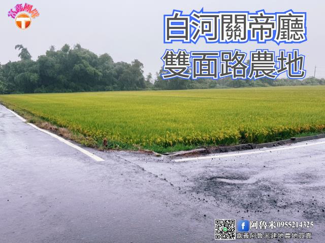台南農地-1