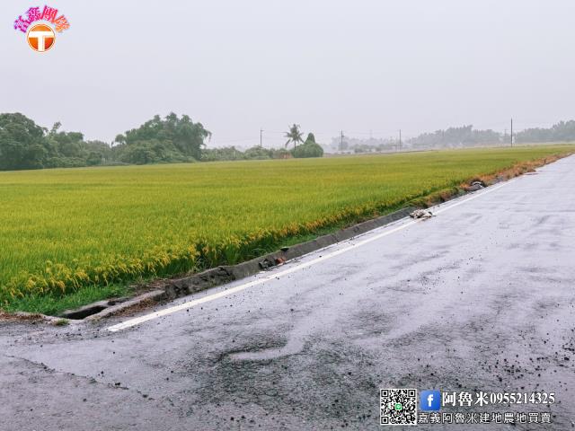 台南農地-4