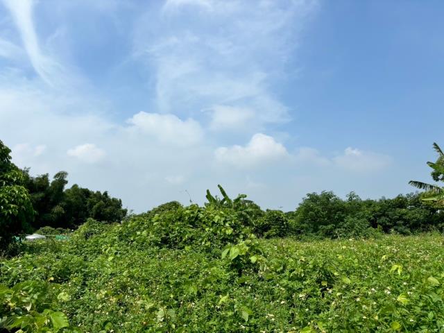 台中農地-1