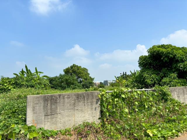 台中農地-5