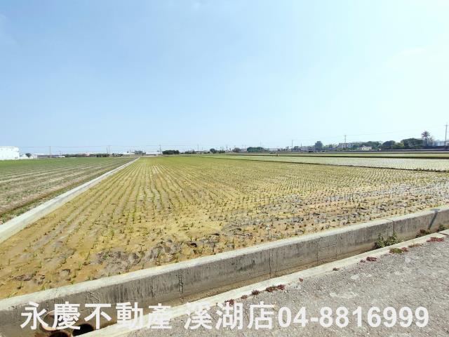 彰化埔鹽農地-10