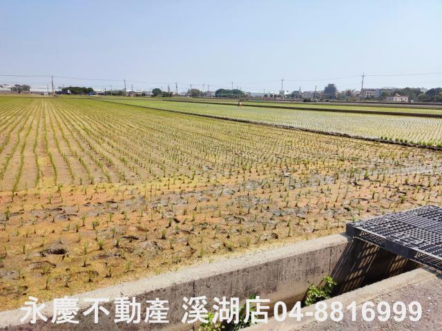彰化埔鹽農地-12