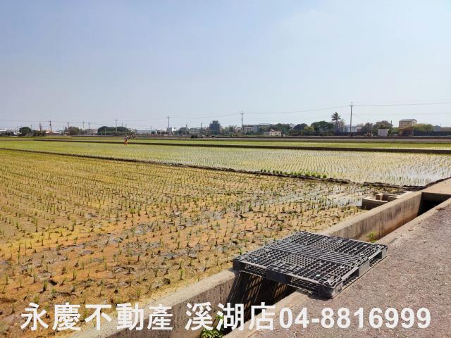 彰化埔鹽農地-14