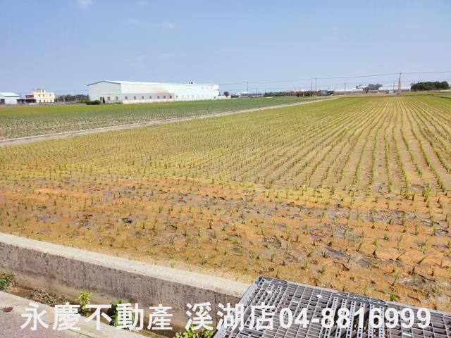 彰化埔鹽農地-6