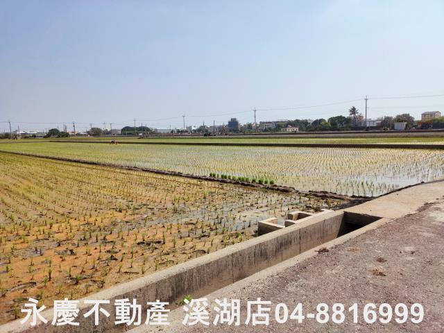 彰化埔鹽農地-7