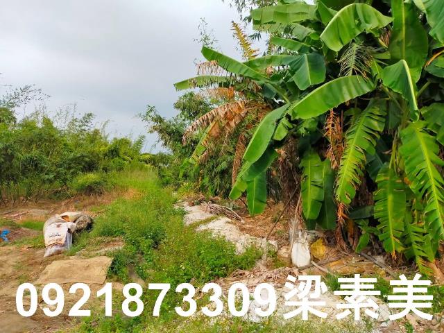 台南關廟農地-11