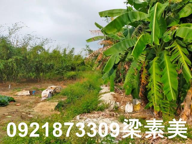 台南關廟農地-9