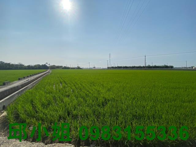 嘉義大林農地-1