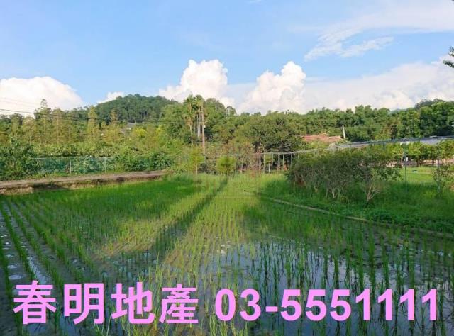 新竹北埔農地-4