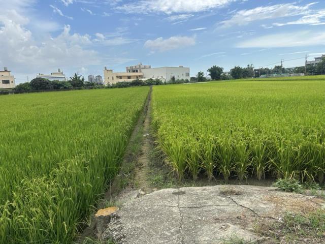 大雅農地-3