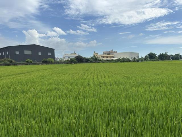 大雅農地-4