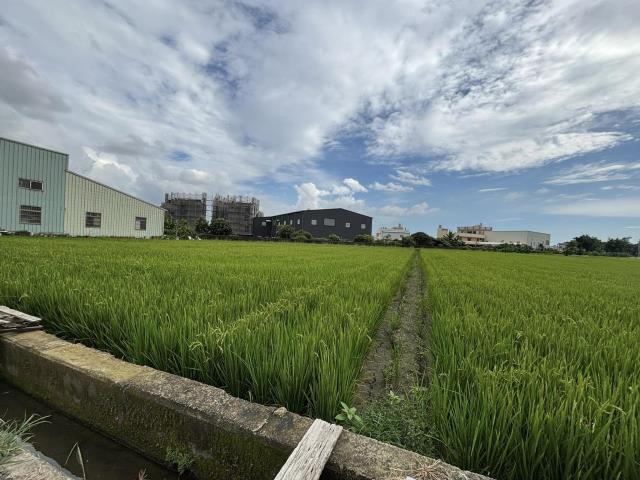 大雅農地-5